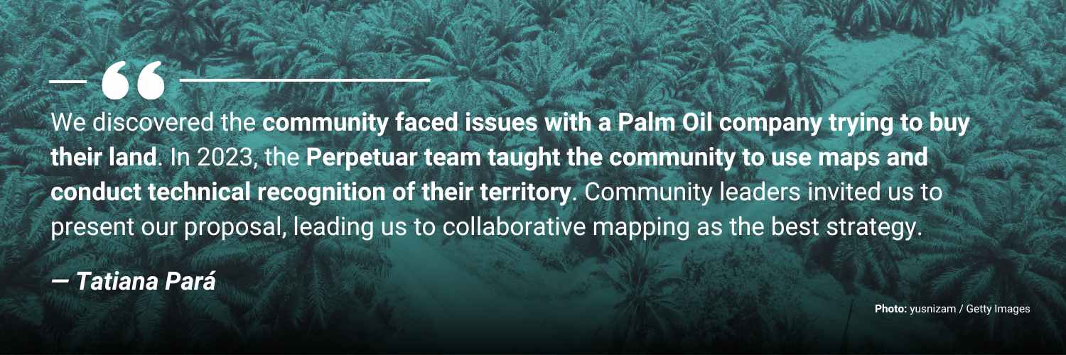Quilombolas - Palm Oil Plantation.jpg